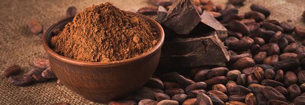 سايت خرید پودر کاکائو فله در بازار ایران