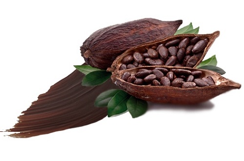 انواع پودر کاکائو هلندی