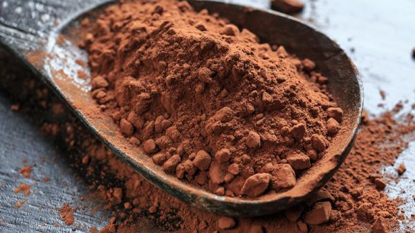 خرید پودر کاکائو اصل در بازار داخلی