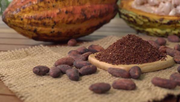 وارد کننده پودر کاکائو در سراسر کشور
