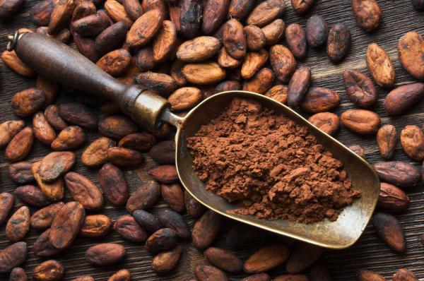 فروش بهترین مارک پودر کاکائو در کشور