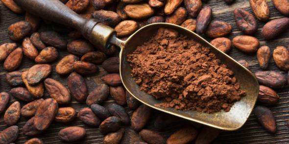 فروش ویژه پودر کاکائو با 20 درصد تخفیف