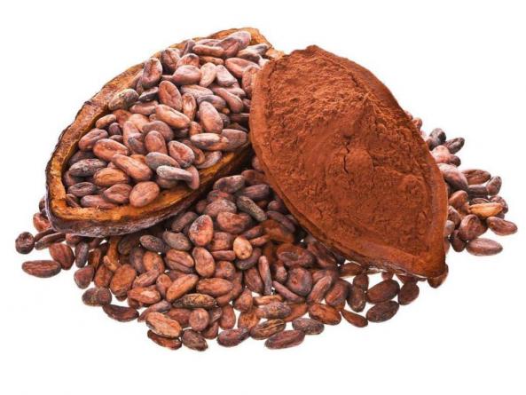 صادرات کاکائو به کشور های همسایه
