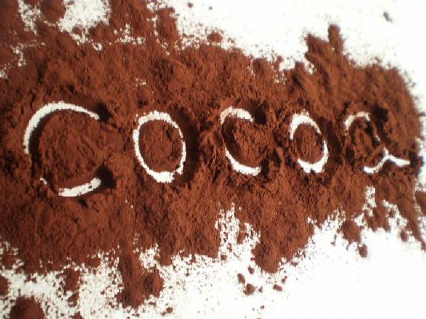 پودر کاکائو تلخ اصل با قیمت ارزان