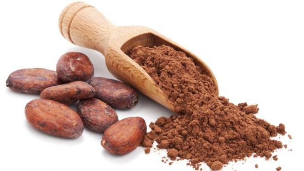 تولید کننده پودر کاکائو مرغوب