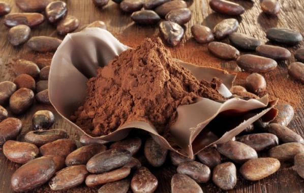 صادرات پودر کاکائو به ترکیه